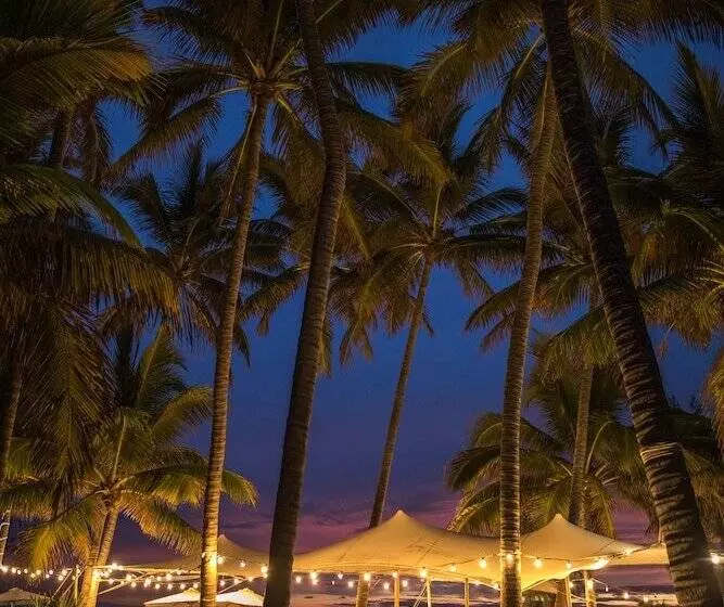 هتل Ness By D Ocean