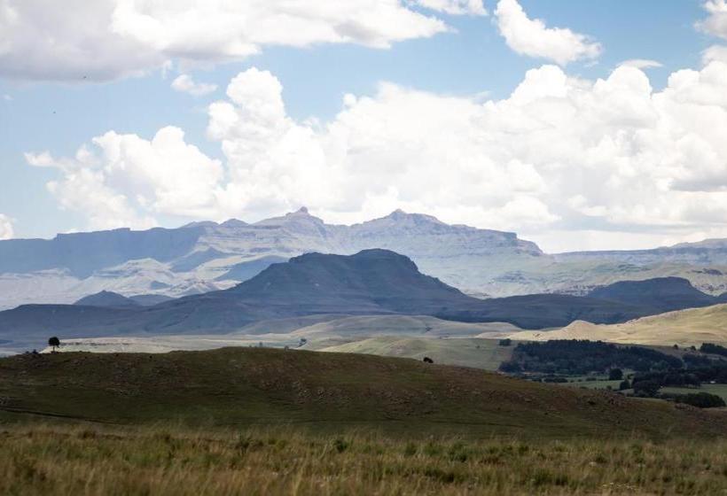 膳宿费 Cairn Grace