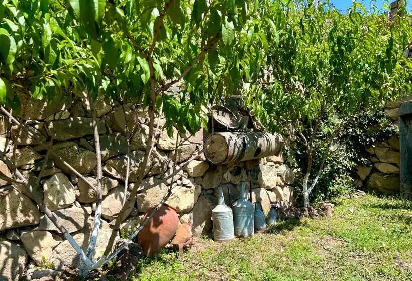 ペンション Igor Bed And Breakfast