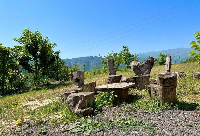 Pensão Igor Bed And Breakfast