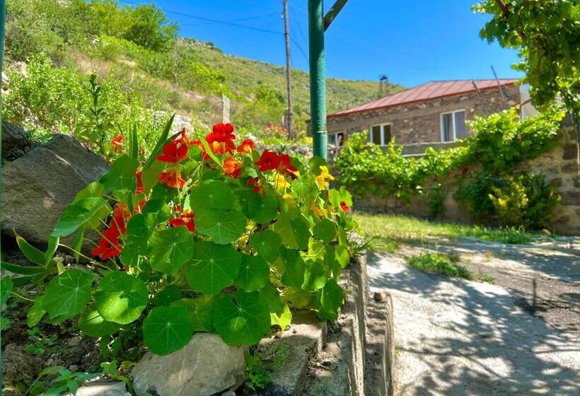 Pensão Igor Bed And Breakfast