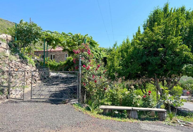 Pensão Igor Bed And Breakfast