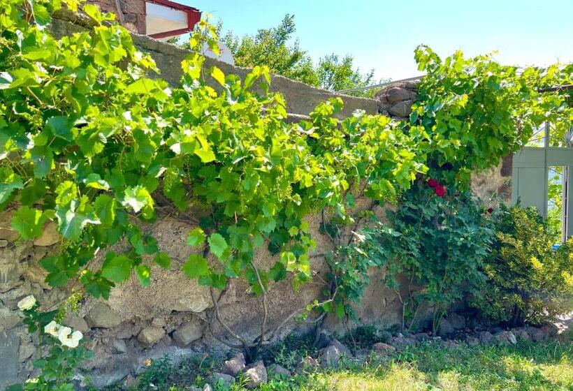 Pensão Igor Bed And Breakfast