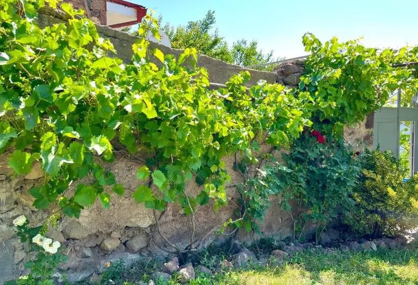 ペンション Igor Bed And Breakfast