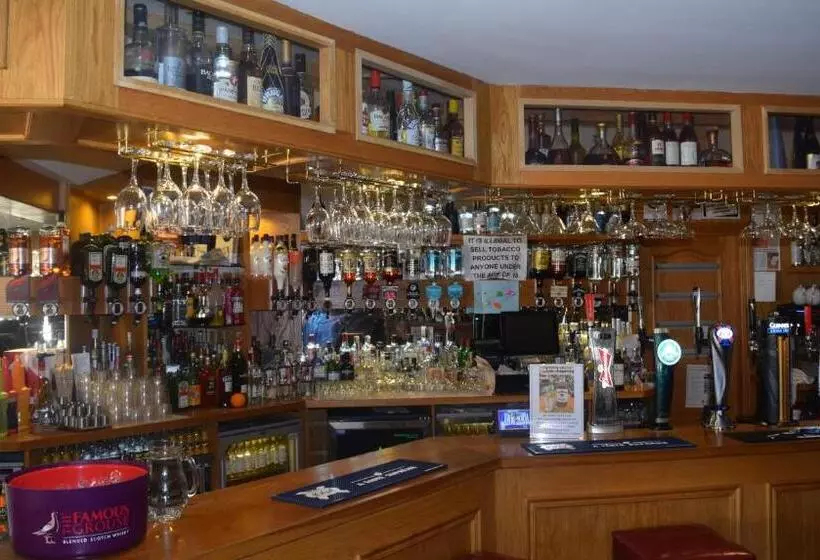 Retkeilymaja Cheers Cafe Bar & Tavern