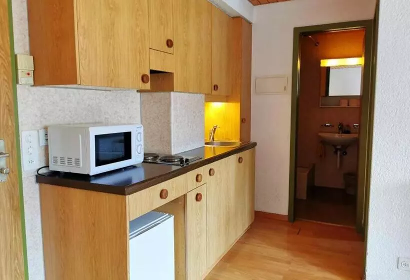 ペンション Downtown Apartment 9