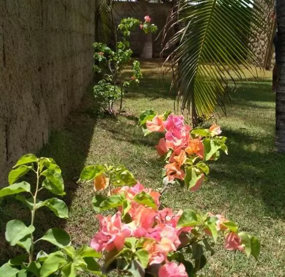 ユースホステル Orla Piaui