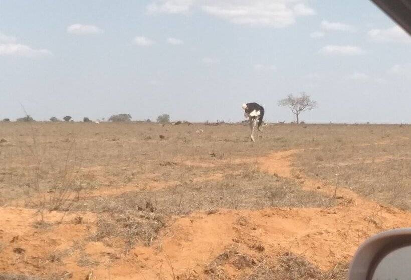 تختخواب و صبحانه Chrystal Palace Resort Malindi