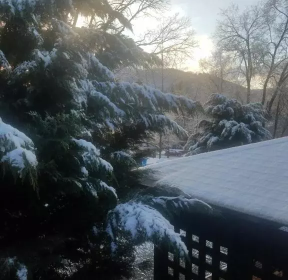 Aamiaismajoitus (B&B) Black Lantern Inn