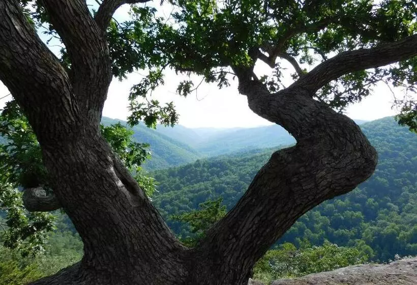 Aamiaismajoitus (B&B) Black Lantern Inn