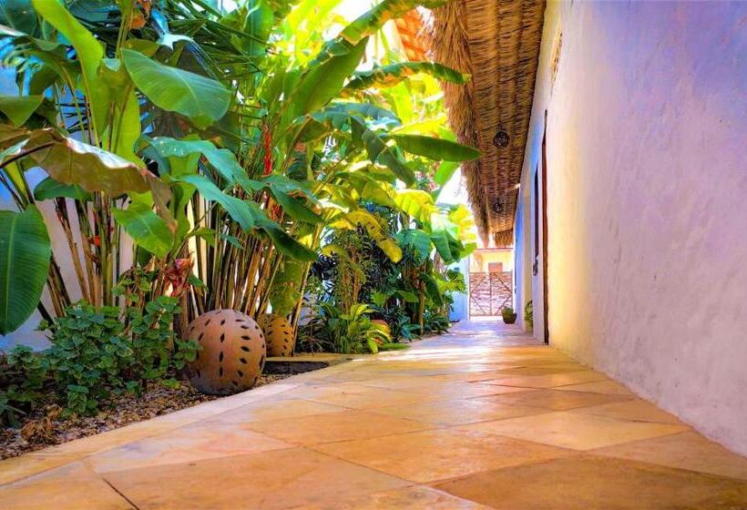 Pensionat 7 Beaufort   Kitesurf Pousada