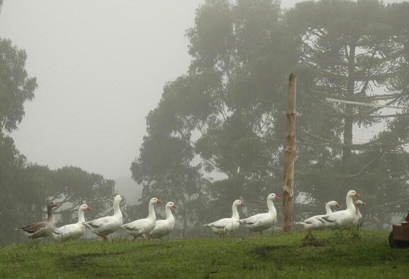 Общежитие Pousada Recanto Dos Pôneis Rio Rufino Urubici