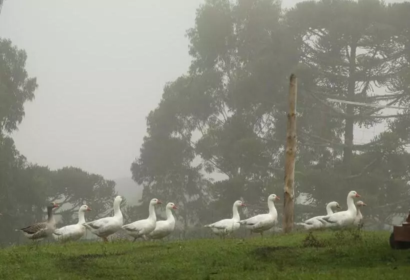 Retkeilymaja Pousada Recanto Dos Pôneis Rio Rufino Urubici