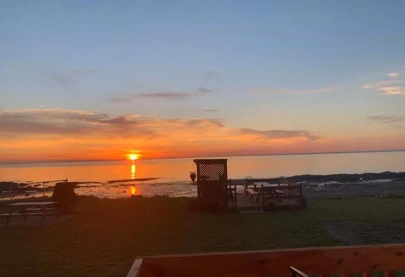 Les Studios De La Mer