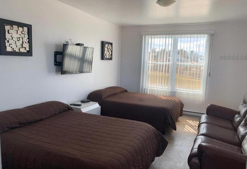 Les Studios De La Mer