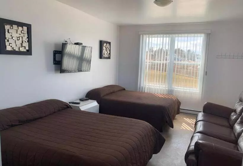 Les Studios De La Mer