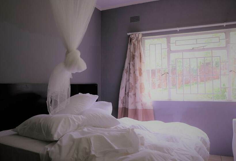 پانسیون 43 House