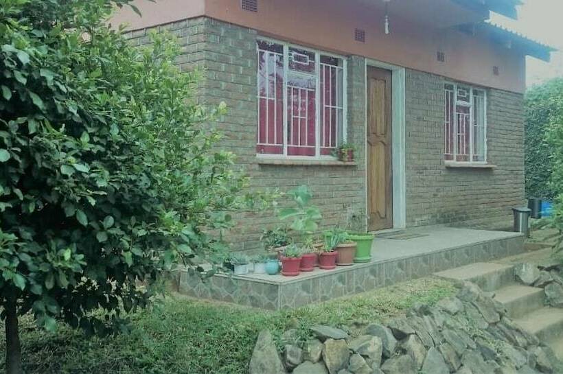 پانسیون 43 House