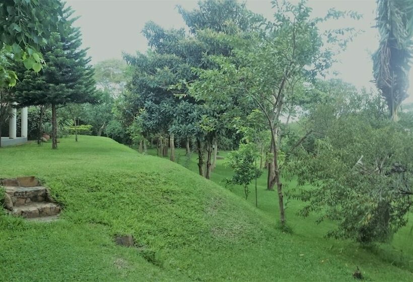 پانسیون 43 House