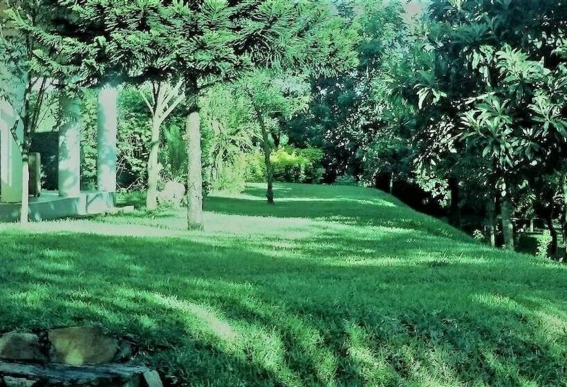 پانسیون 43 House