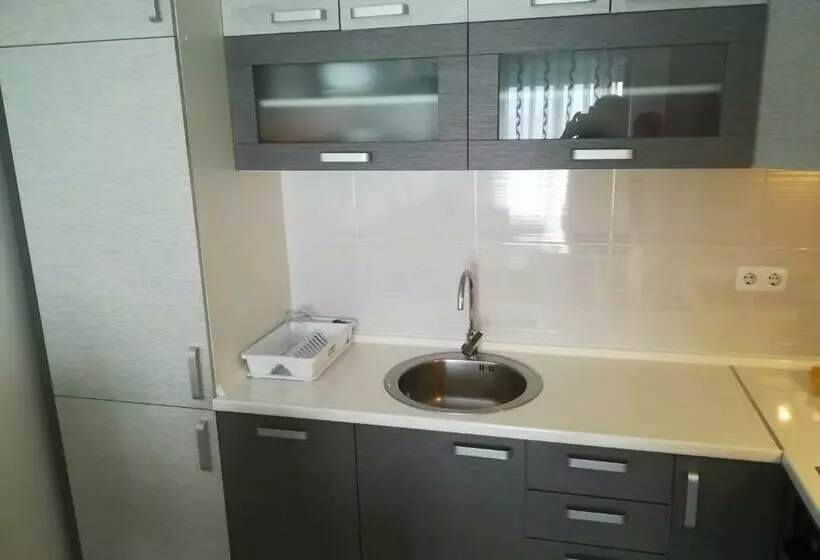 پانسیون Omega