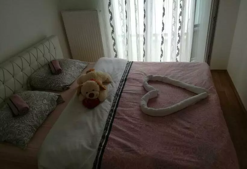 پانسیون Omega