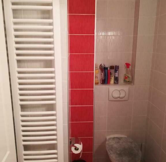 پانسیون Omega