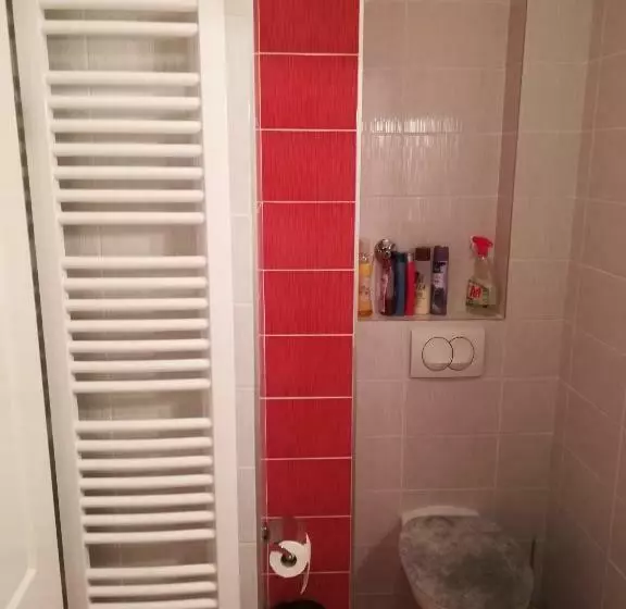 پانسیون Omega