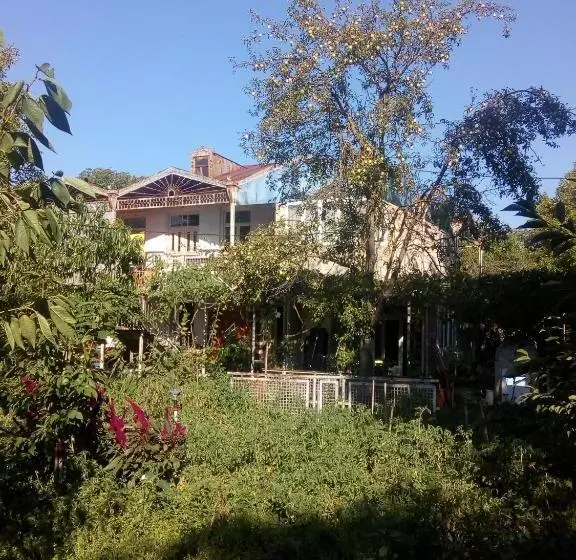 پانسیون Guest House Nike