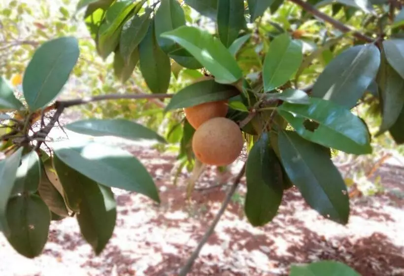 Majatalo Vidya Konkan Agro Tourism