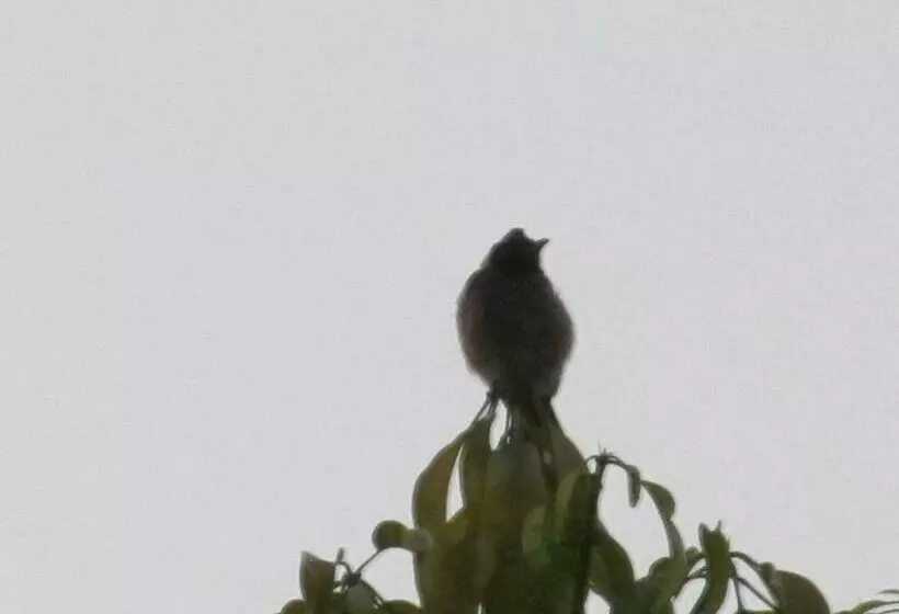 Majatalo Vidya Konkan Agro Tourism