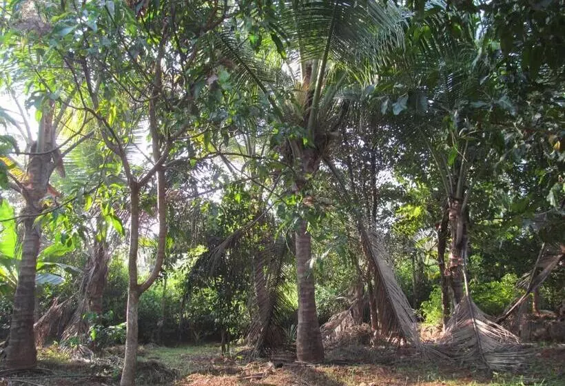 Majatalo Vidya Konkan Agro Tourism