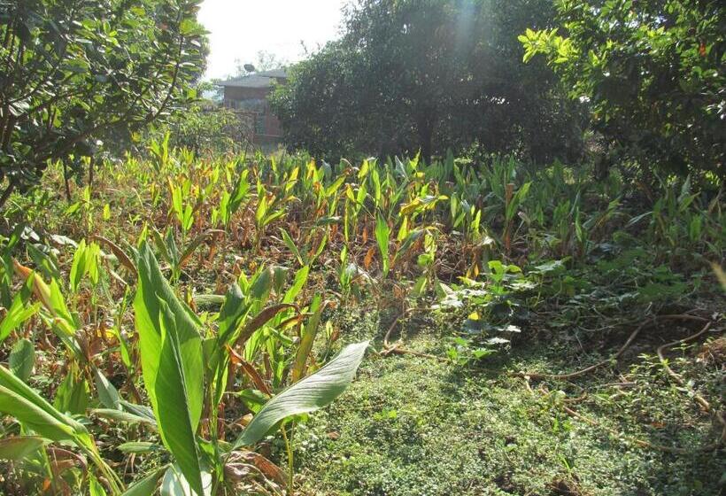 Пансион Vidya Konkan Agro Tourism