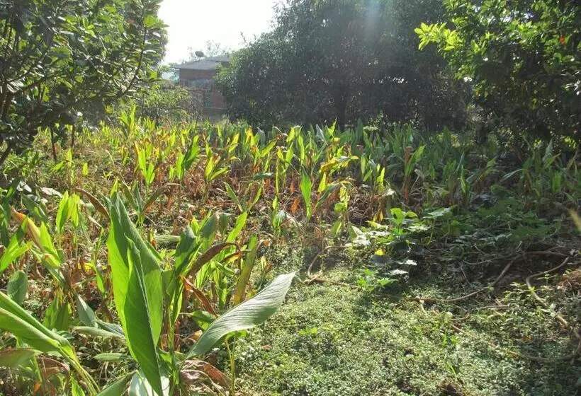 Majatalo Vidya Konkan Agro Tourism