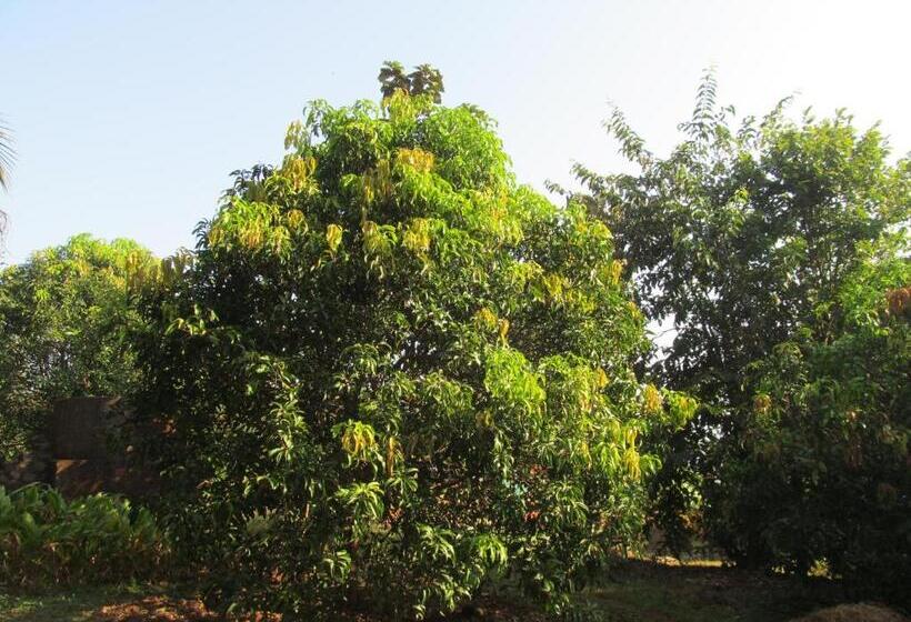 Пансион Vidya Konkan Agro Tourism