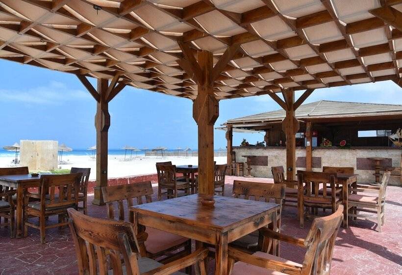 استراحتگاه Tolip North Coast