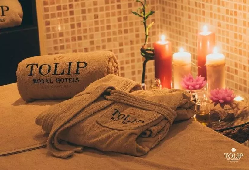 استراحتگاه Tolip North Coast