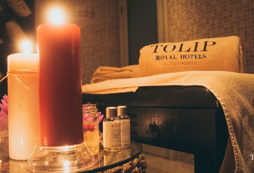 استراحتگاه Tolip North Coast