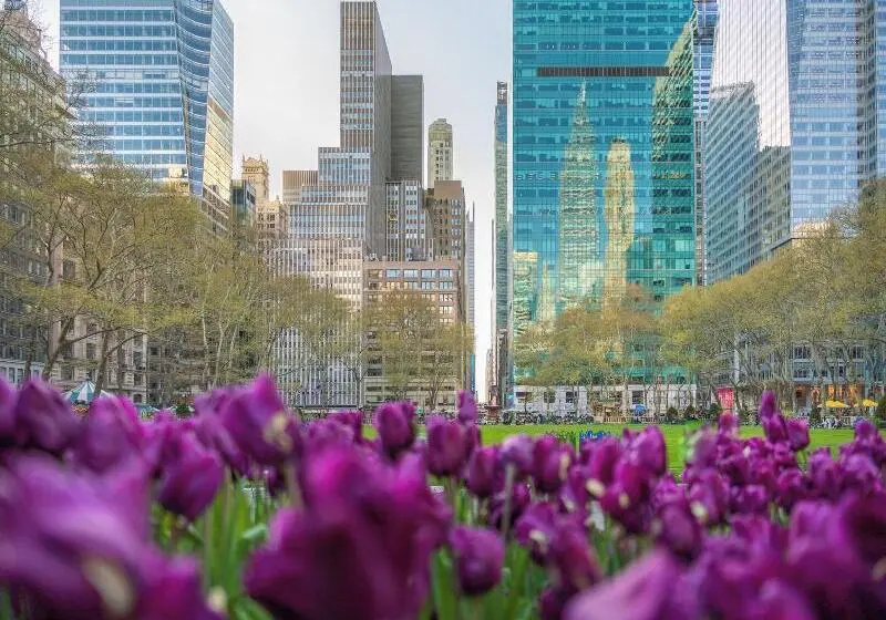 Hotelli Kimpton Era Midtown New York By Ihg
