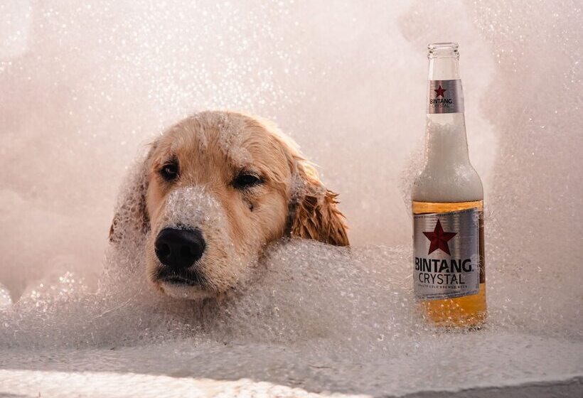 Clandestino Hostel Canggu