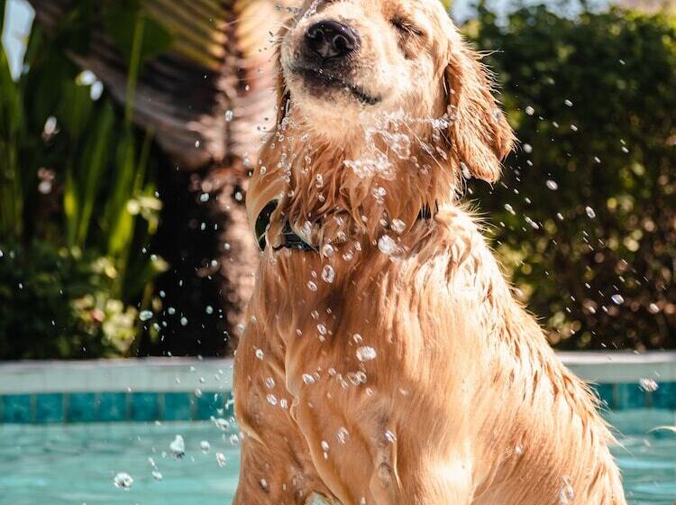 Clandestino Hostel Canggu