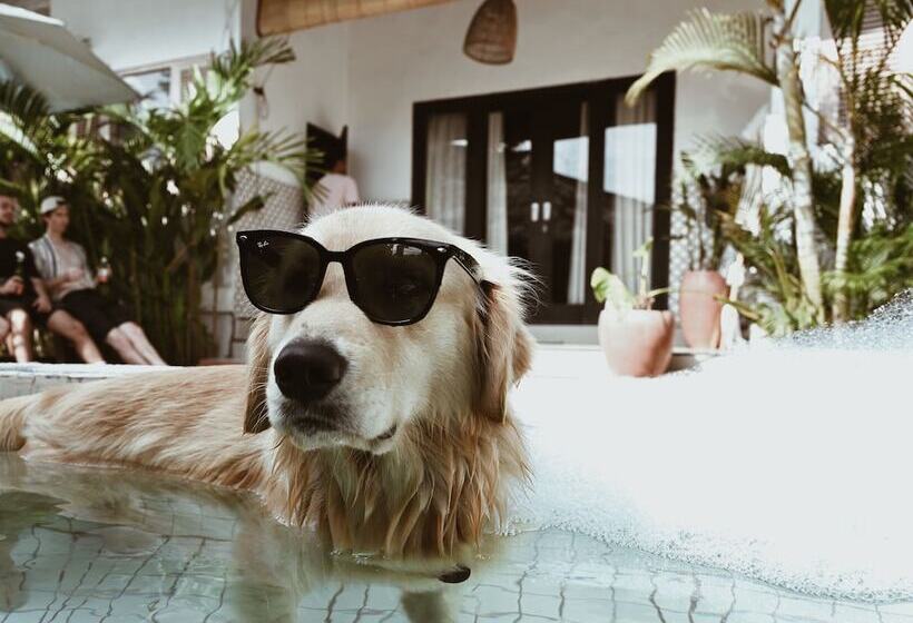 Clandestino Hostel Canggu