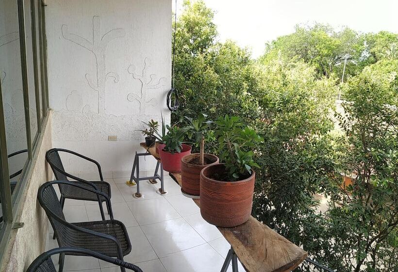 בית מלון כפרי Merkezi Saray