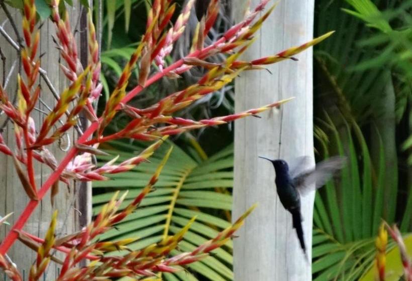 پانسیون Pousada Caminho Da Serra