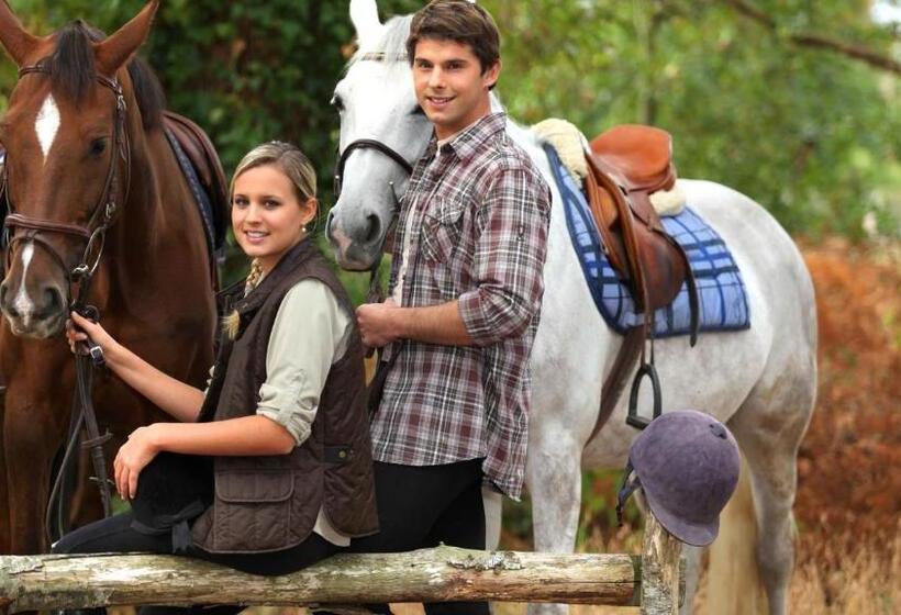 تختخواب و صبحانه Aparthotel In Alaverdi