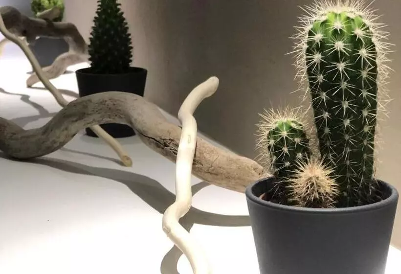 Aamiaismajoitus (B&B) La Quercia