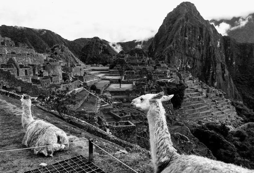 تختخواب و صبحانه Picos House