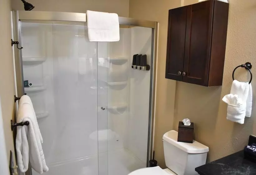 Hotelli Silver Horseshoe Inn