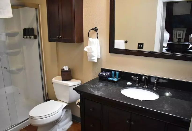 Hotelli Silver Horseshoe Inn