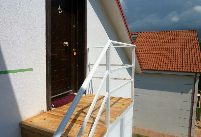 פנסיון Aria Guest House